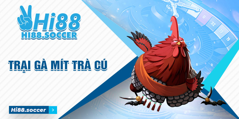 Bật Mí Trại Gà Mít Trà Cú Có Quy Mô Khủng Nhất Tại Miền Tây 1 Trại gà mít trà cú